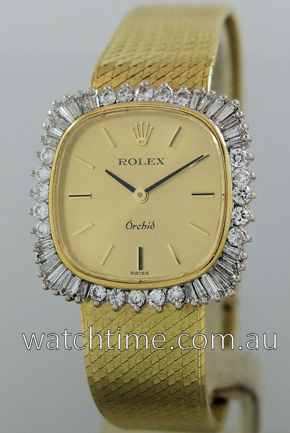 rolex orchid