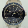 Omega SEAMASTER 300m Master Co-Axial 41mm Titanium on titanium   233.90.41.21.03.001