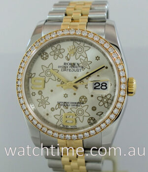 Rolex Datejust 18k   Steel  Floral dial and Diamonds 116243