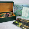 DSC05840 ROLEX GMT MASTER II "Coke" 16710 Box & Papers