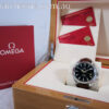 Omega Seamaster Aqua Terra 15,000 Gauss 231.12.42.21.01.001