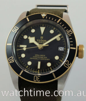 Tudor  BLACK BAY  S&G 79733N