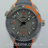Omega Seamaster Planet Ocean 600m Titanium 215.92.44.21.99.001